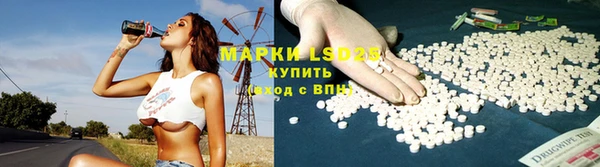 амф Горняк