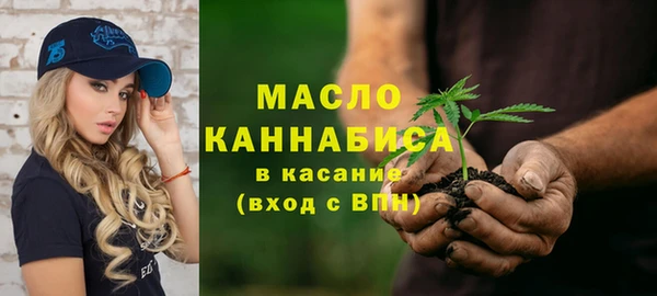 амф Горняк