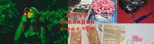 амф Горняк