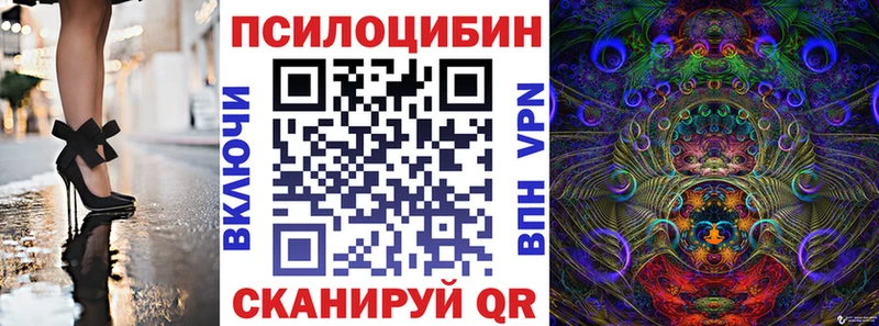блэк спрут ссылка  Ефремов  Псилоцибиновые грибы мухоморы 